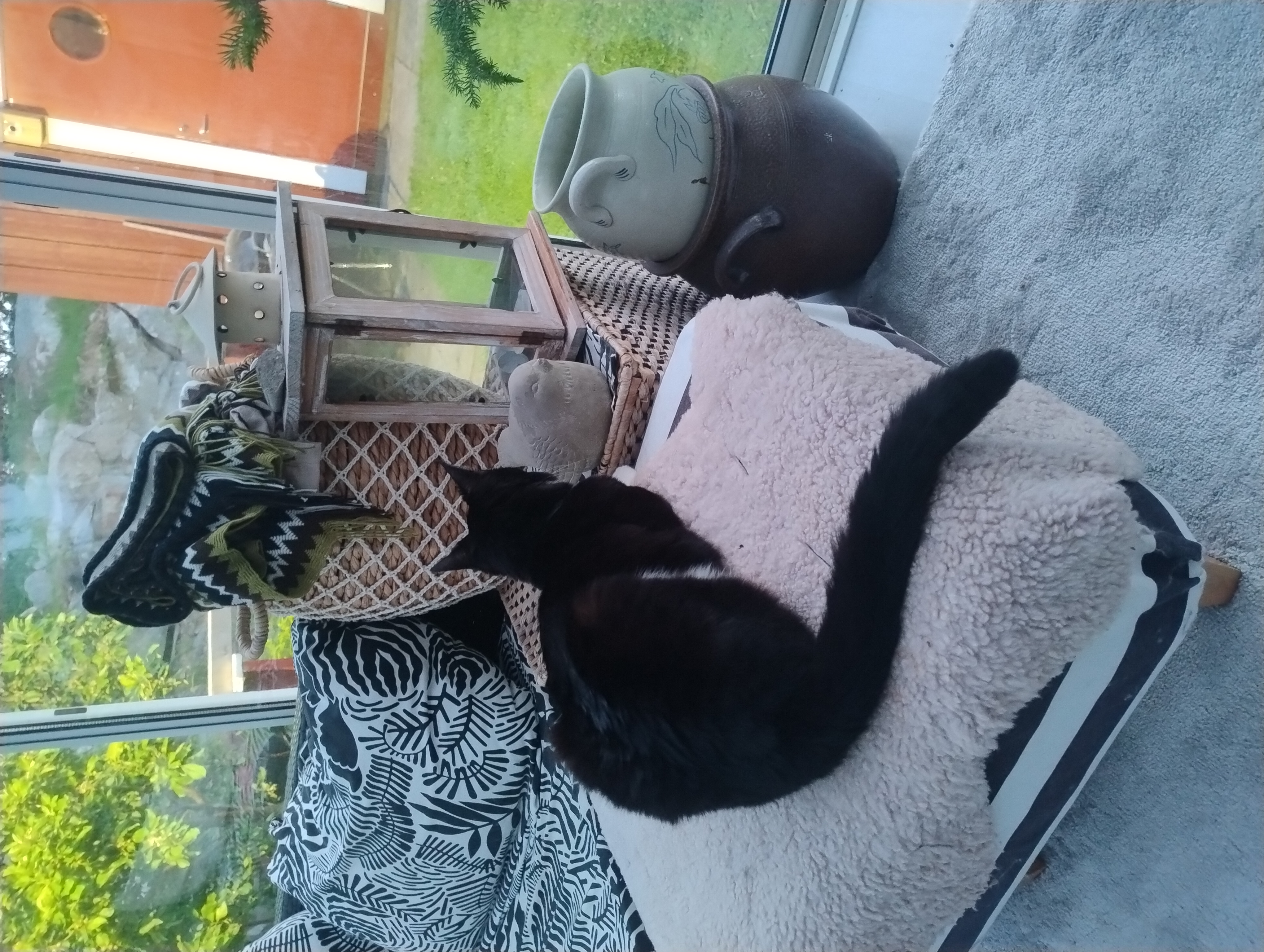 Nala